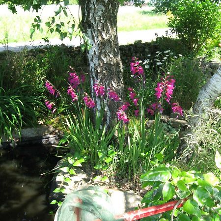 Gites Du Roheran Malansac Kültér fotó
