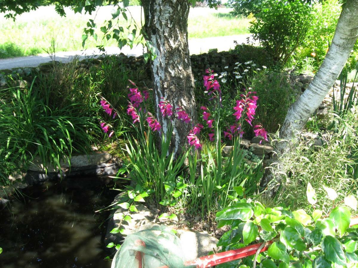 Gites Du Roheran Malansac Kültér fotó